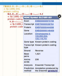 Individual_exon_popup_menu