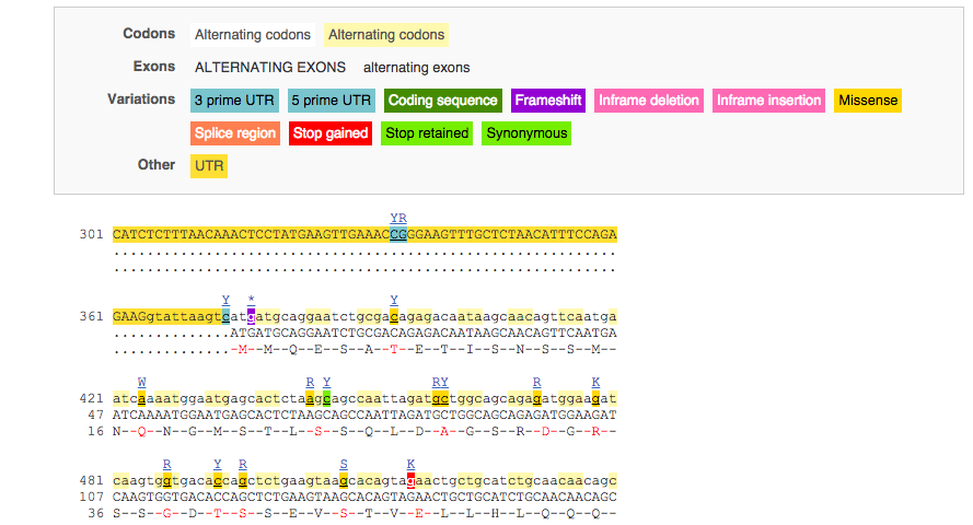 transcript_sequence_markup