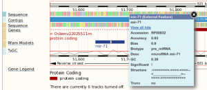 rfam_model_example_1