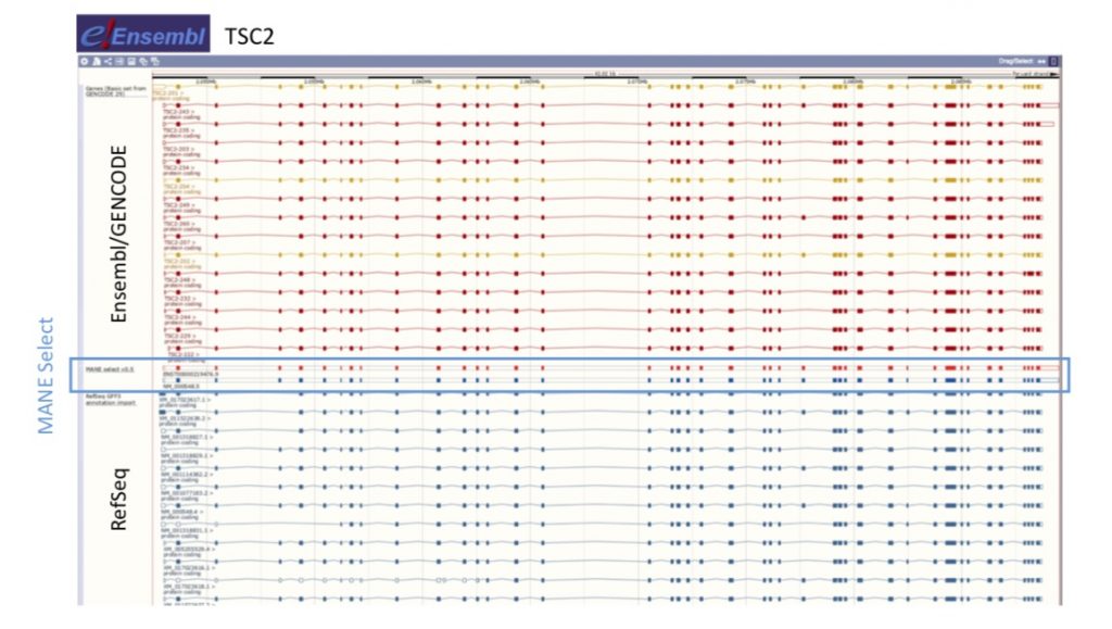 October 2017 – Ensembl Blog